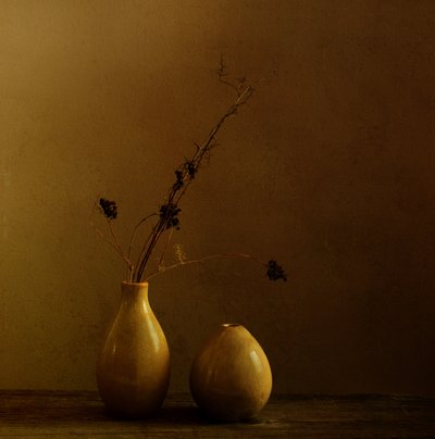 Vases aux tons terreux et branches séchées - Margaret Halaby