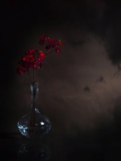 Fleurs rouges mélancoliques - Margaret Halaby