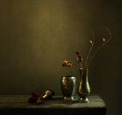 Nature morte rustique et mélancolique - Margaret Halaby