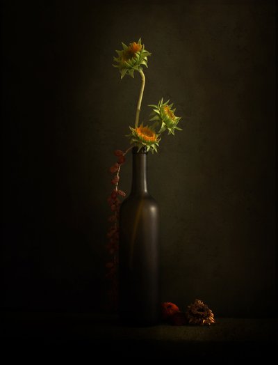 Nature morte au tournesol mélancolique - Margaret Halaby