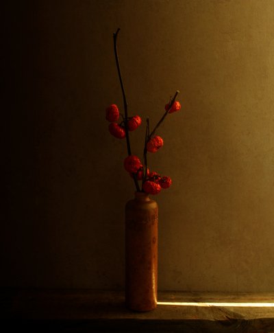 Nature morte aux baies rouges - Margaret Halaby