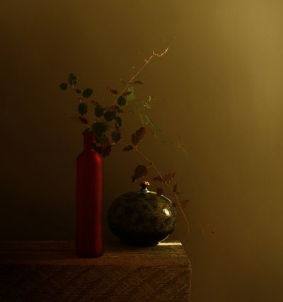 Nature morte à la bouteille rouge foncé - Margaret Halaby