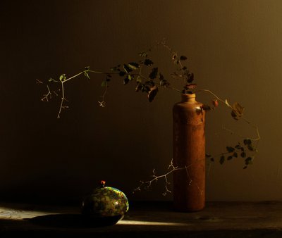 Nature morte rustique avec une coccinelle - Margaret Halaby