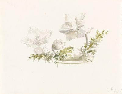 Étude d