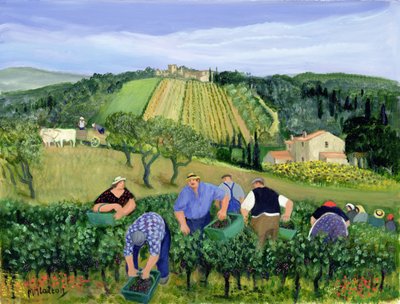Vignoble, olives et tournesols - Margaret Loxton