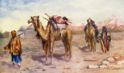 Chameaux et conducteurs devant Damas - Margaret Thomas
