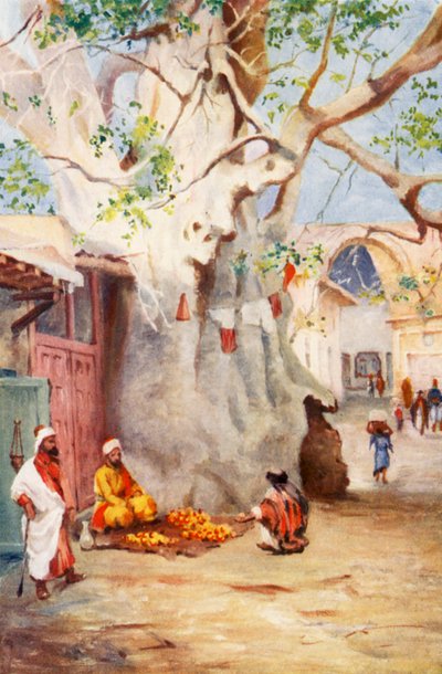 Grand plantain dans le bazar, Damas - Margaret Thomas