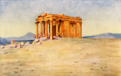 Temple de la mère du roi, Palmyre - Margaret Thomas