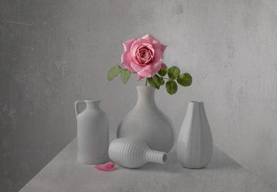 Nature morte aux roses roses délicates - Margareth Perfoncio