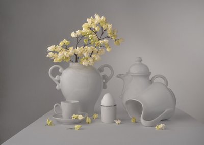 Nature morte florale élégante - Margareth Perfoncio