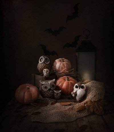 Chouettes et citrouilles d
