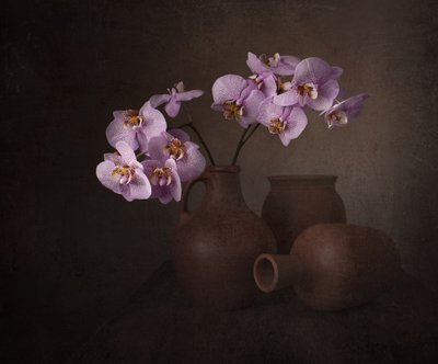Nature morte à l