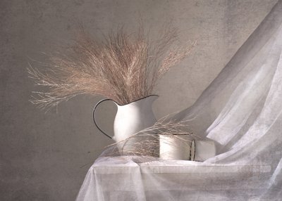 Pichet blanc et herbe séchée - Margareth Perfoncio