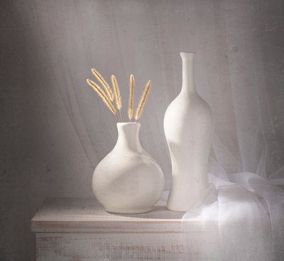 Vases blancs, lumière douce - Margareth Perfoncio