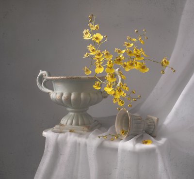 Nature morte à l