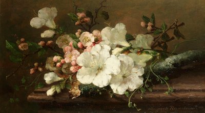 Margaretha Roosenboom - Nature morte avec fleur - Margaretha Roosenboom