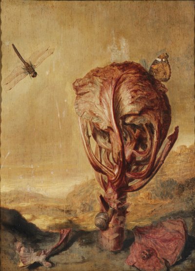 Un chou rouge, un escargot, un papillon, une libellule, une abeille et un cloporte dans un paysage - Margarethe de Heer