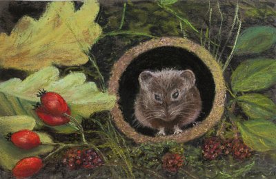 Souris des champs dans un tuyau de drainage, 2020 - Margo Starkey