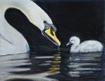 Suivez Maman - Margo Starkey