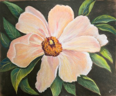 Grande pivoine, 2022 - Margo Starkey