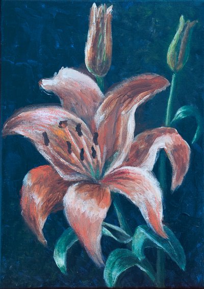 Lys orange, 2022 - Margo Starkey