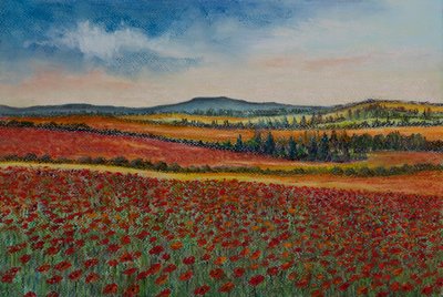 Champs de coquelicots, Flandres - Margo Starkey
