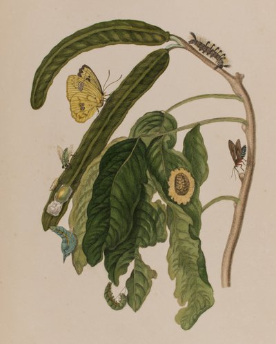 Illustration de 