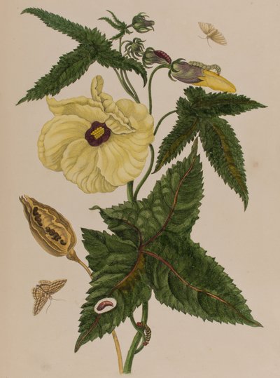 Illustration de 