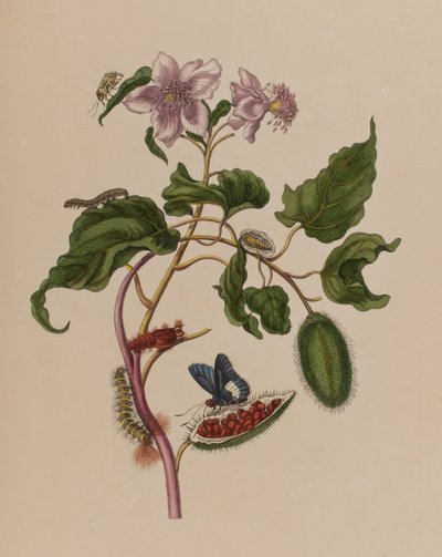 Illustration de 