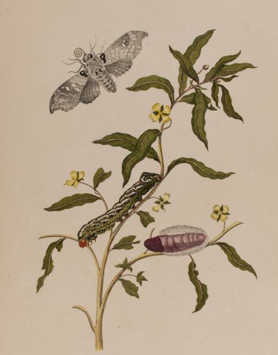 Illustration de 