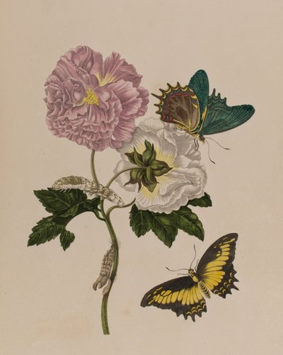 Illustration de 