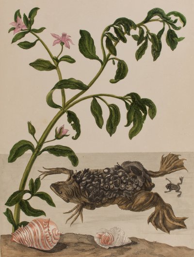 Illustration de 