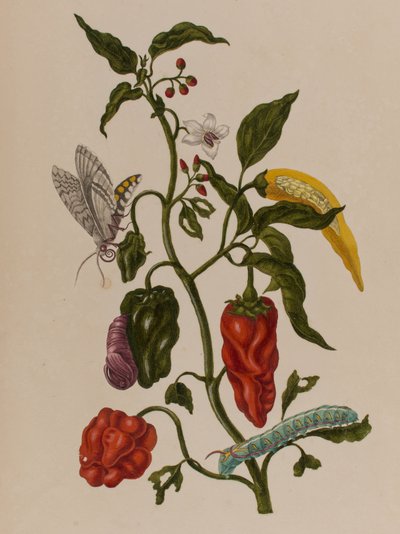 Illustration de 