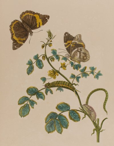 Illustration de 
