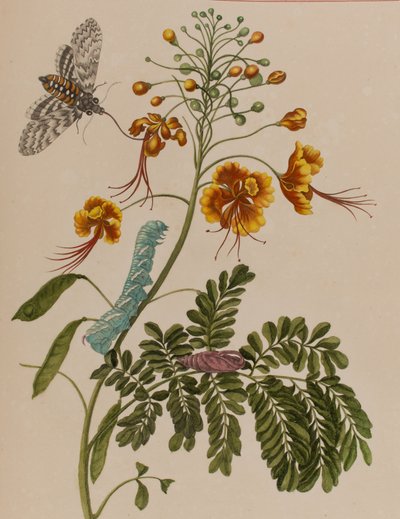 Illustration de 