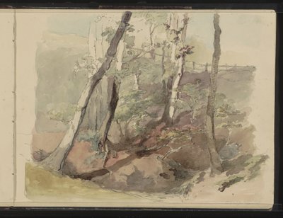 Arbres bordés par une clôture sur le domaine Hoog Oorsprong - Maria Vos