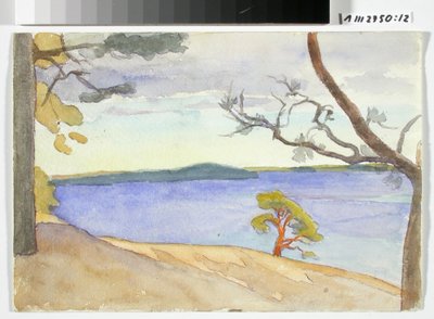 Paysage côtier - Maria Wiik