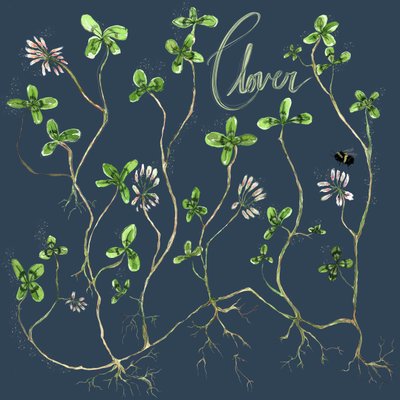Clover Botanical, 2021 (aquarelle sur papier) - Marianna Kulukundis