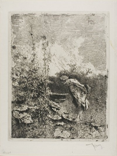 Amateur de Jardin - Mariano Fortuny y Marsal