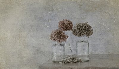  - Marie-anne Stas