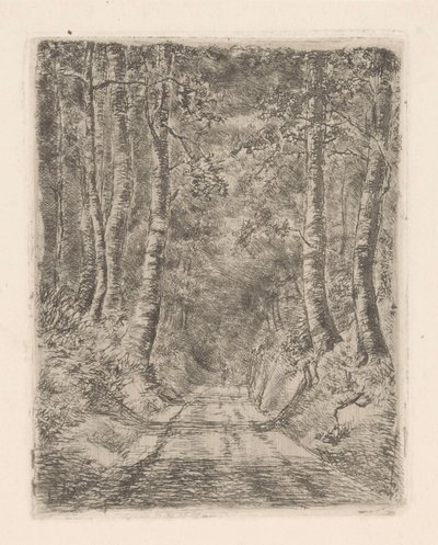 Forêt le long d