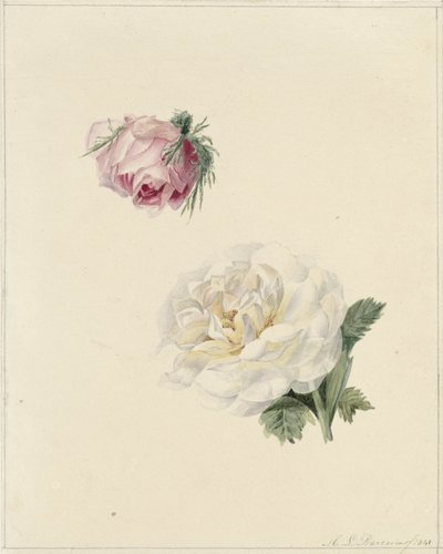 Études d