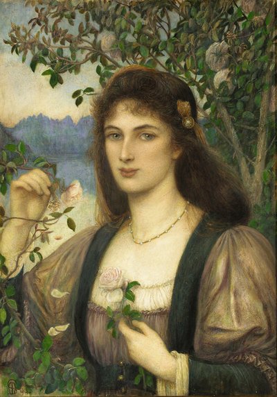 La Rose du jardin d
