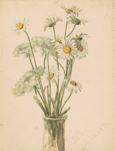 Marguerites et Reine-des-prés dans un vase, 1890 - Marietta Minnegerode Andrews