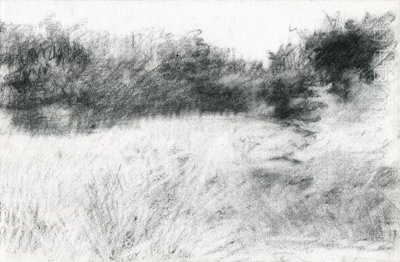 Paysage, 2021 - Marina Falco