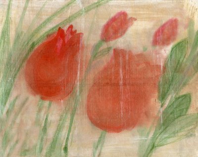 Tulipes rouges - Marina Falco