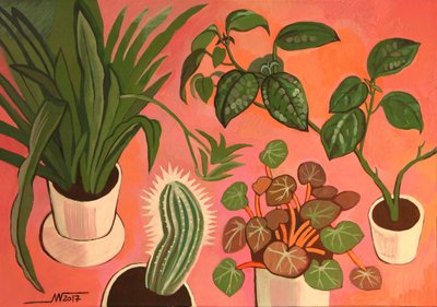 Plantes en pot aux couleurs vives - Marina Gorkaeva