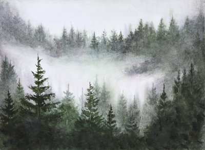 Sérénité de la forêt brumeuse - Marina Kozyr