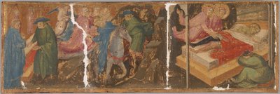 Scènes de la légende des saints Côme et Damien - Mariotto di Nardo