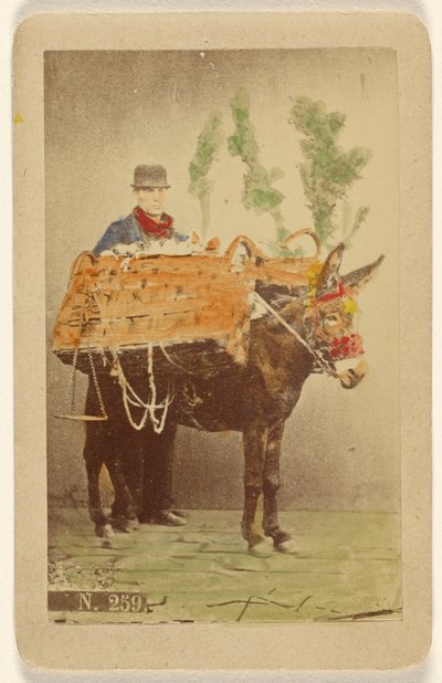 [Homme non identifié avec une mule transportant des paniers de nourriture]. - Marittima